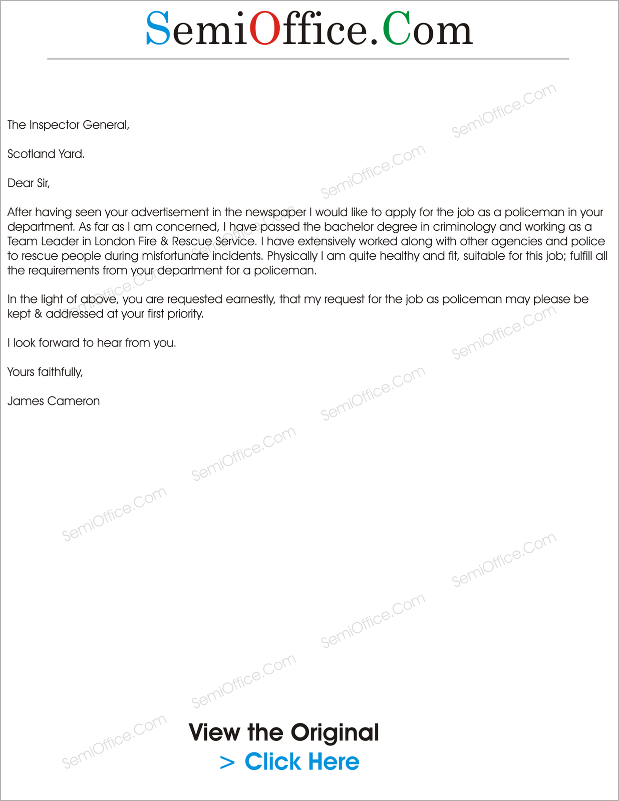 Application Letter For Employment In Police Service