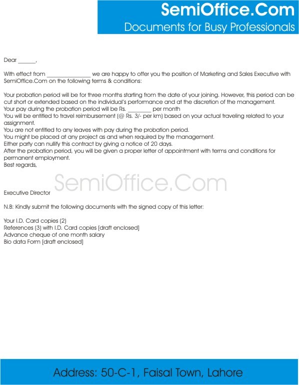 Appointment Letter with Probation Period of 3 Months